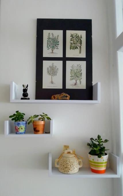 Ma City Apartment Zára Kültér fotó